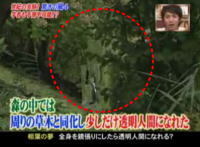 実験!全身を鏡で覆うと景色が映りこみ透明になれるか?